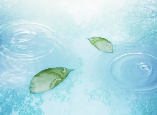 亀頭包皮炎ページへのイメージ画像